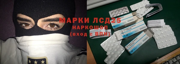 прущие грибы Нижний Тагил