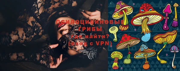 прущие грибы Балашиха