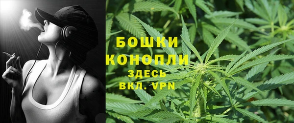 прущие грибы Балашиха